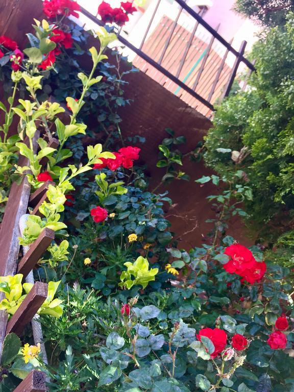 B&B Limone San Leone Kültér fotó